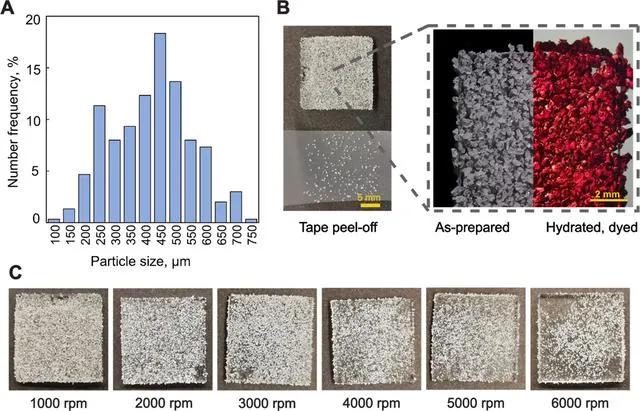 抗菌肽液体喷雾剂,抗菌肽喷雾剂
