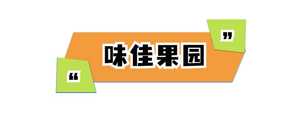 摘蓝莓桃子,摘蓝莓草莓樱桃桃子