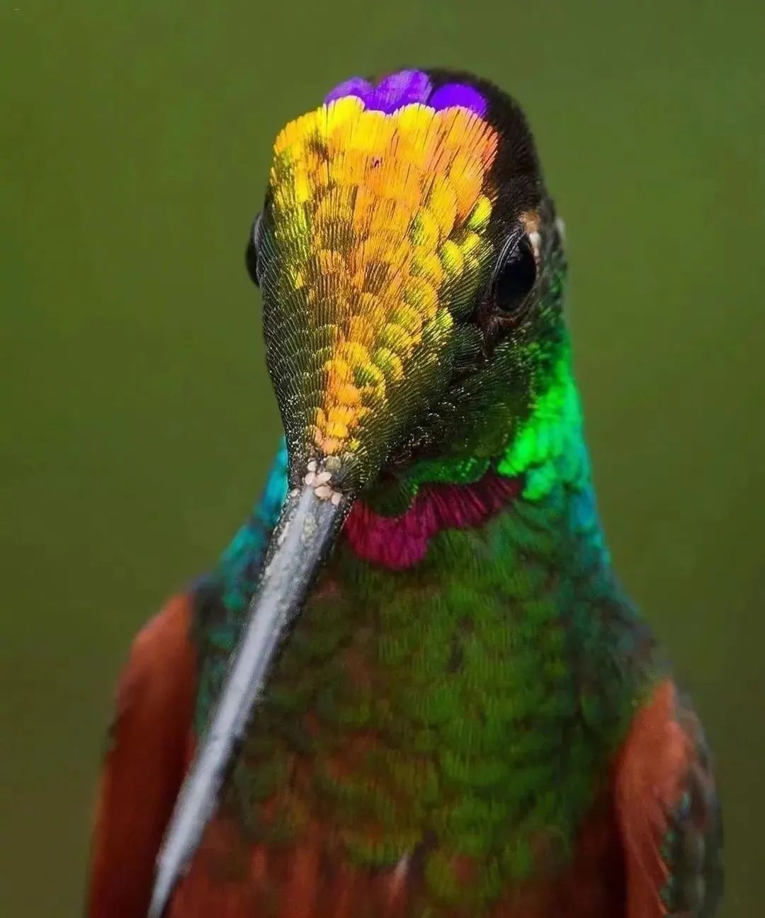 中国以前的足球有多厉害,趣知识科普