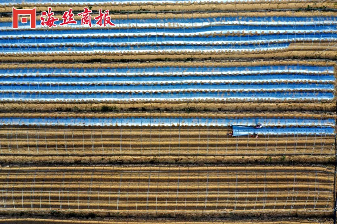 南安石井工业用地2亩,南安土地面积