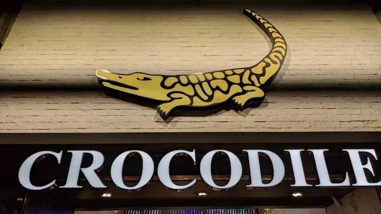 香港鳄鱼t恤衫,鳄鱼牌t恤女装