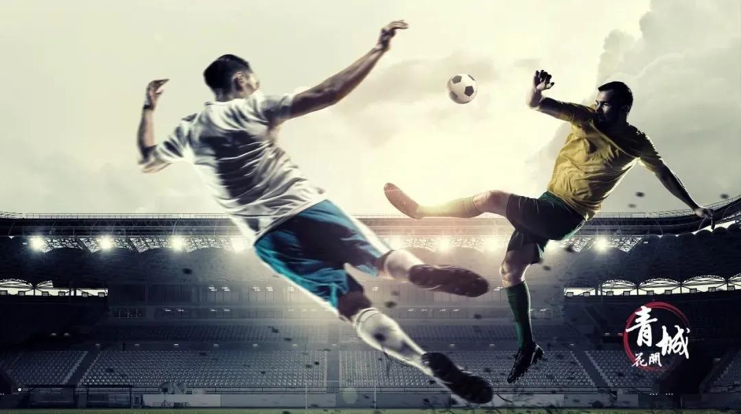 世界杯为什么是欧洲杯,世界杯为啥是最盛大的体育赛事