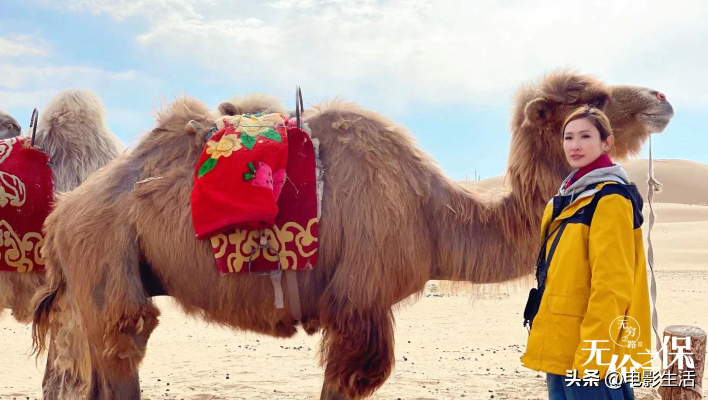 豆瓣高分华语剧,豆瓣高分华语剧第一