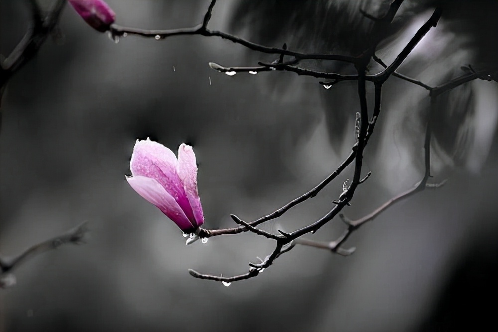 岁月漫长抵不过热情澎湃,岁月漫长仍值得等待