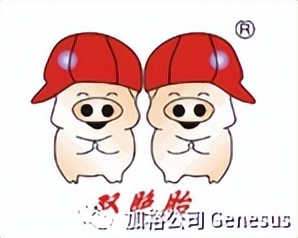 世界顶尖饲料企业排名,全球生猪养殖企业排名