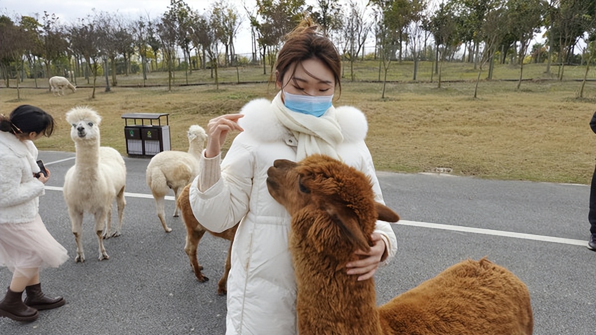 在江苏的“绿林仙海”中，寻找侠气与柔情
