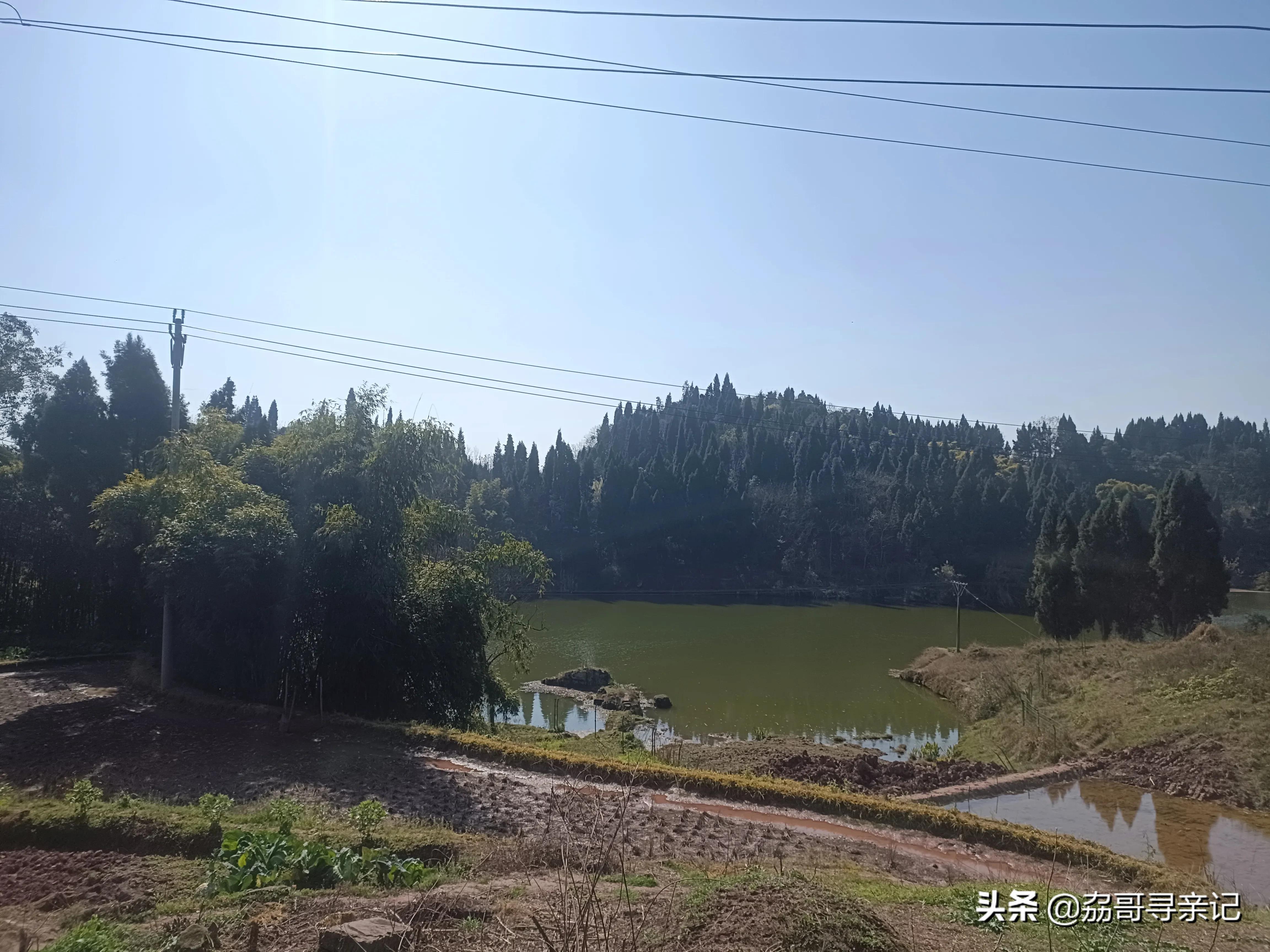 她离开我的第32天,我目前的状况以及之前的部分开销,加油吧骚年