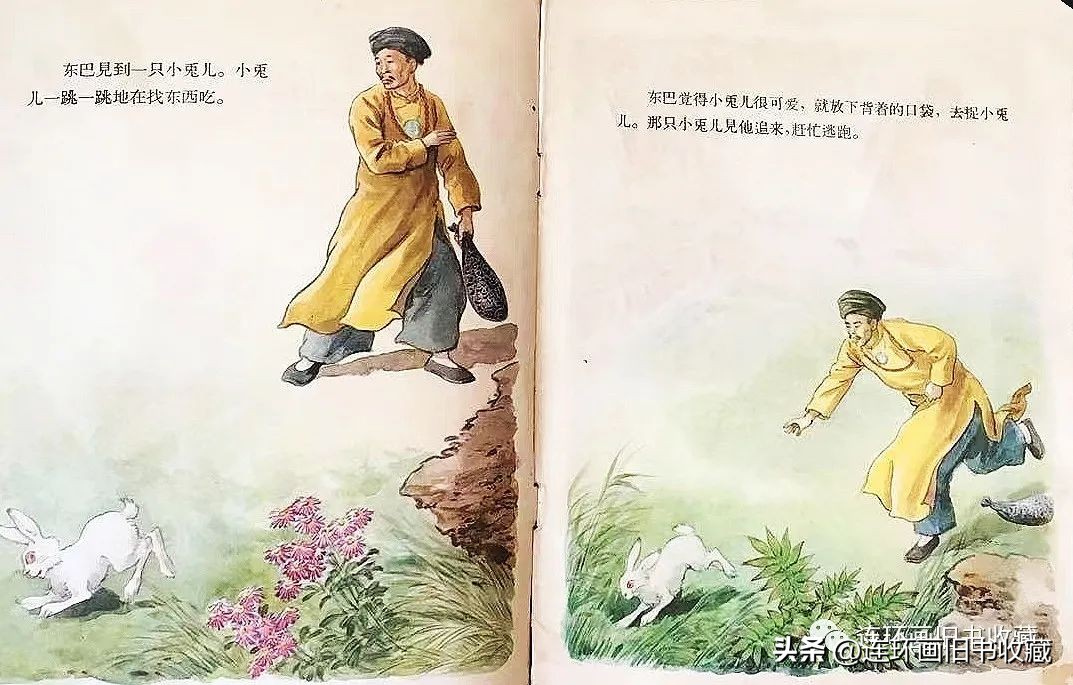 白兔和黑兔四格连环画,关于兔年的多格连环画