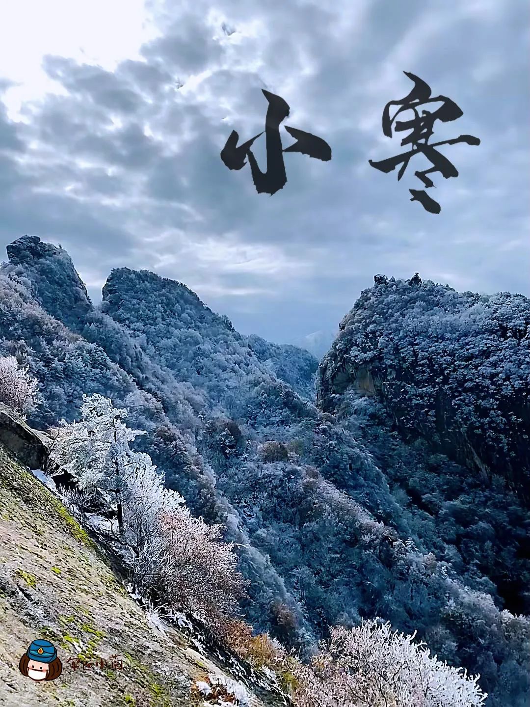 军医小茵丨今日小寒