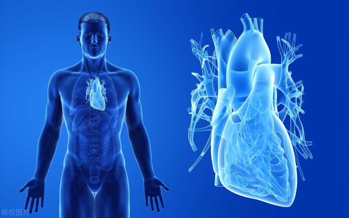 压力让你的心脏形成“束缚”了！让心肌一点点缺血缺氧