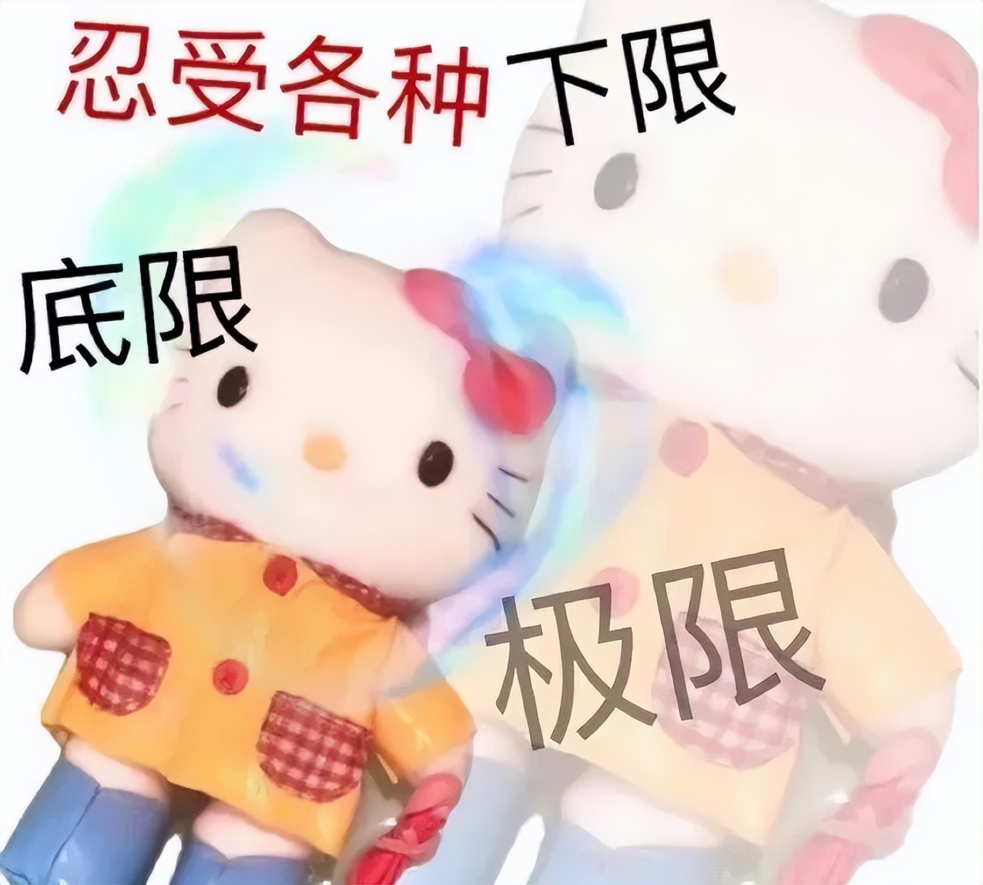 淘宝现在的新功能 (淘宝最近出的新功能)