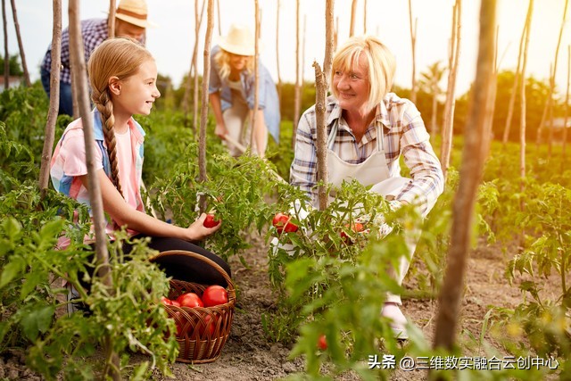 新型家庭农场的致富路,家庭农场的发展红利又将迎来高潮