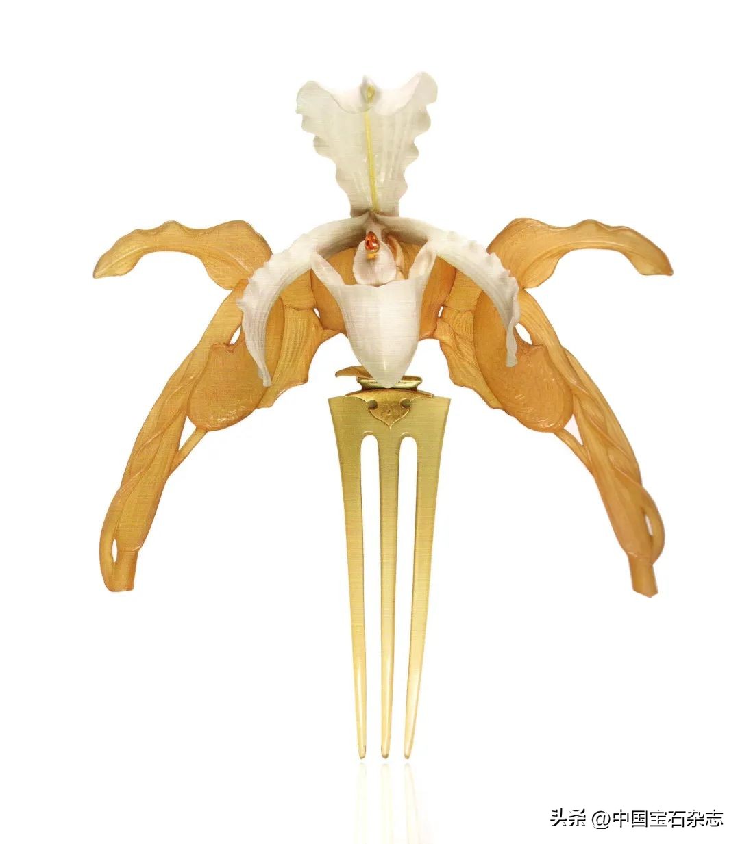 娆ф床鏃跺皻棣栭グ绯诲垪鍥捐В,娆х編鏃跺皻娼祦棣栭グ鍥剧墖