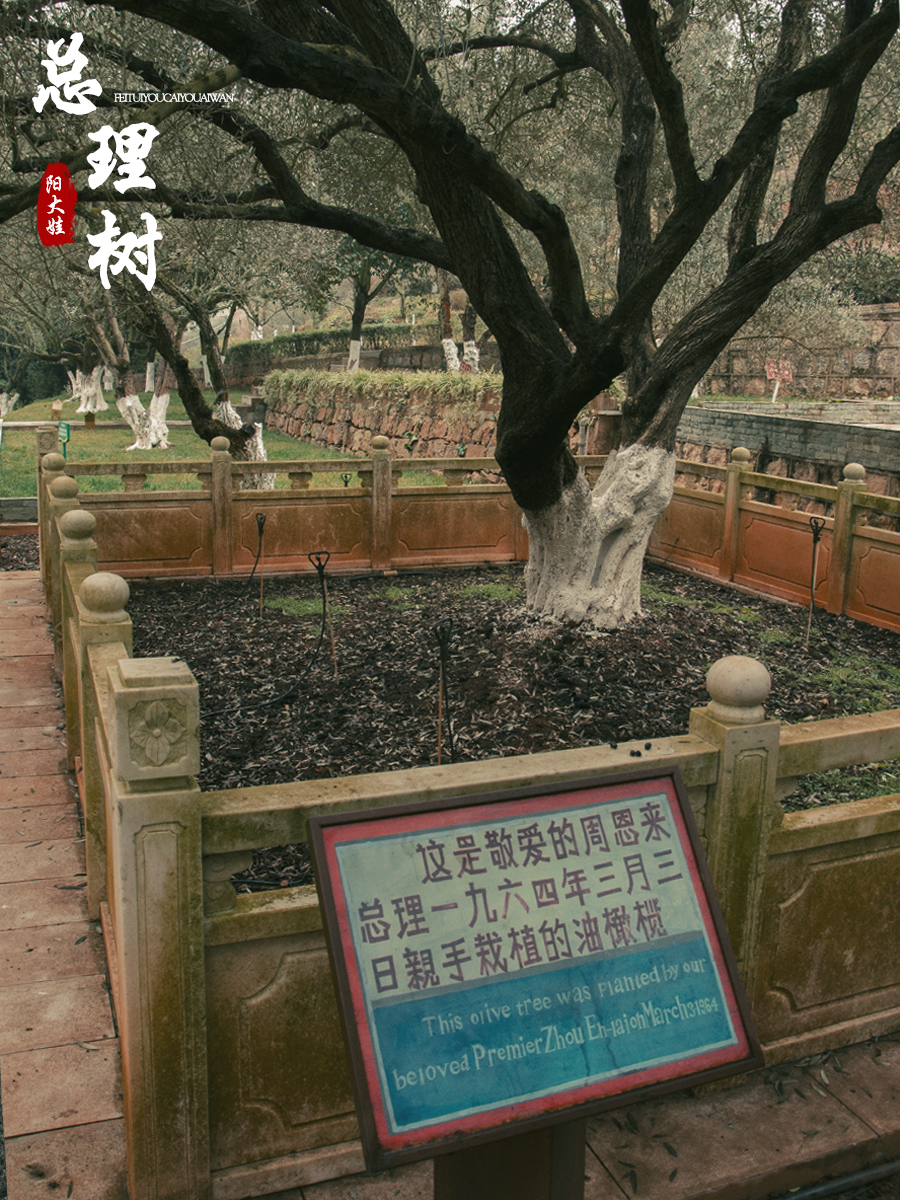 海口世纪公园游玩攻略一日游,昆明海口石城公园路线图