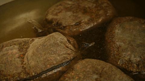 高手在民间品味人生,高手在民间3秒记1000字