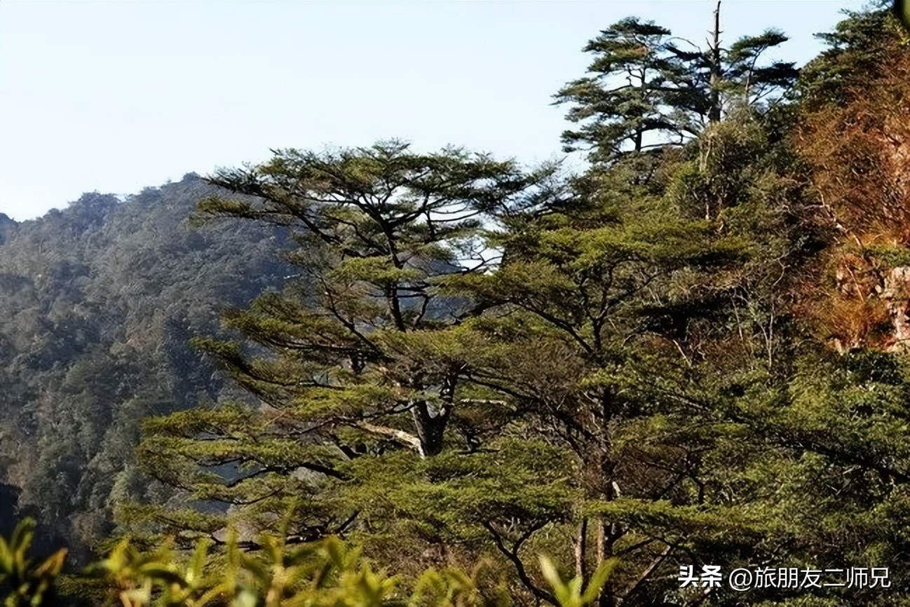 金秀圣堂湖在圣堂山吗,广州南浦出发一日游