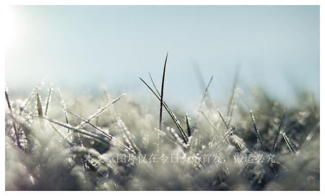 2023年两春夹一冬冷吗,2023两春夹一冬