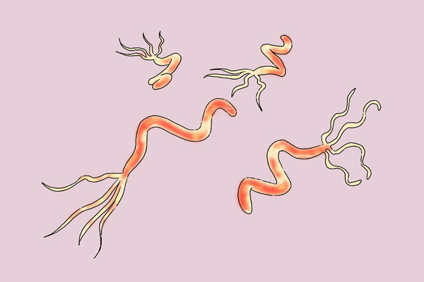 碱性食物抗癌抗衰老,碱性食物抗癌