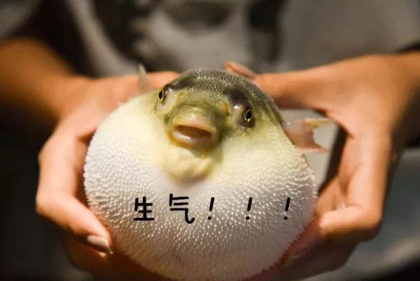 冬奥会美国黑科技羽绒服,冬奥会保暖黑科技羽绒服