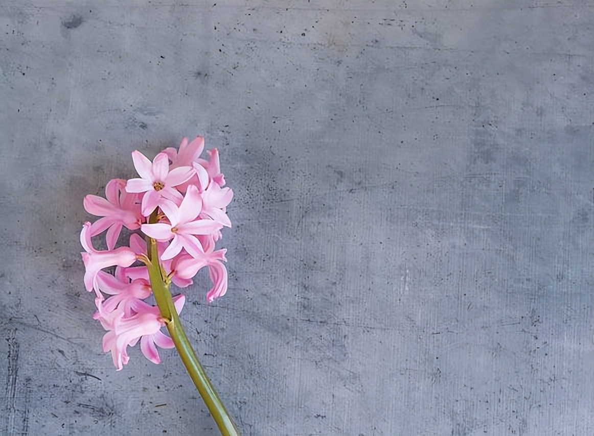 没有爱情的婚姻里，请抓住三根救命稻草