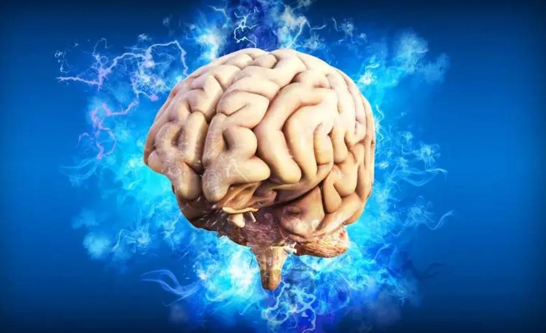 人类大脑能存储多少数据,人类的大脑到底能存多少东西