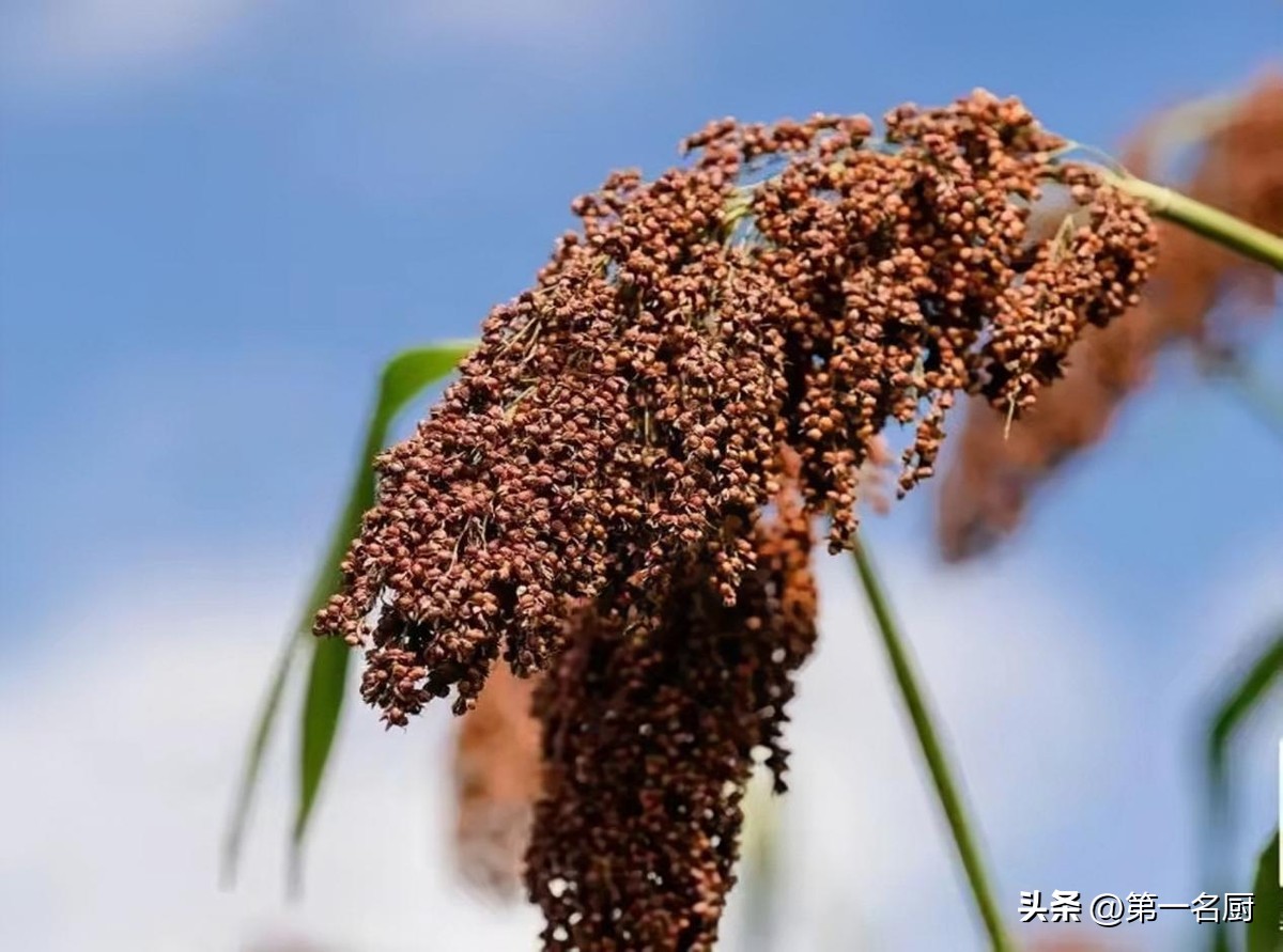 洋河酒厂海之蓝天之蓝梦之蓝,洋河海之蓝天之蓝梦之蓝酒评