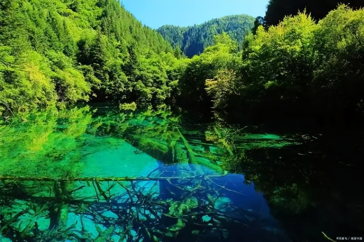 谐音四川方言,四川方言吭气怎么说