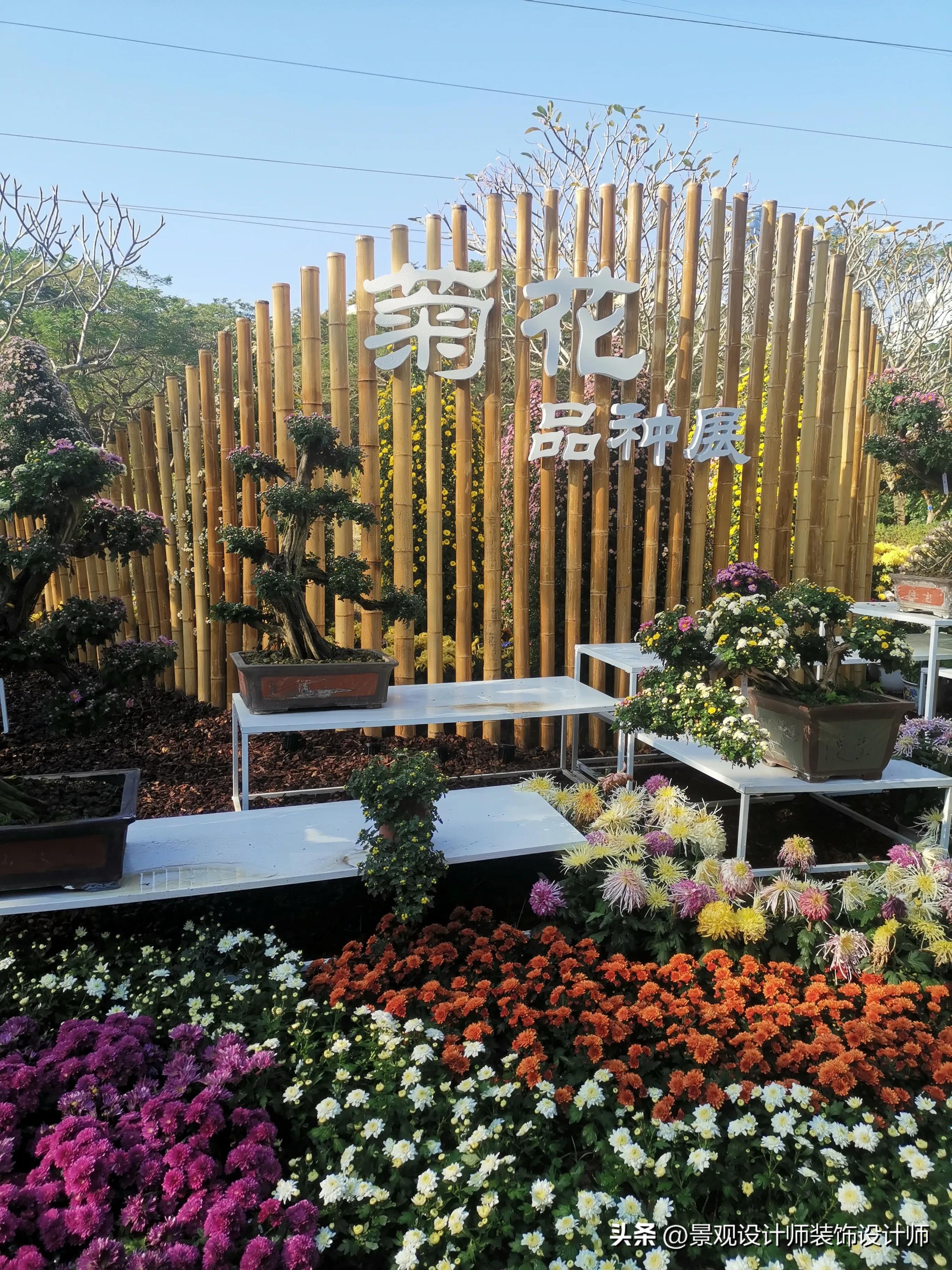 深圳市东湖公园广场舞,深圳市东湖公园收费标准