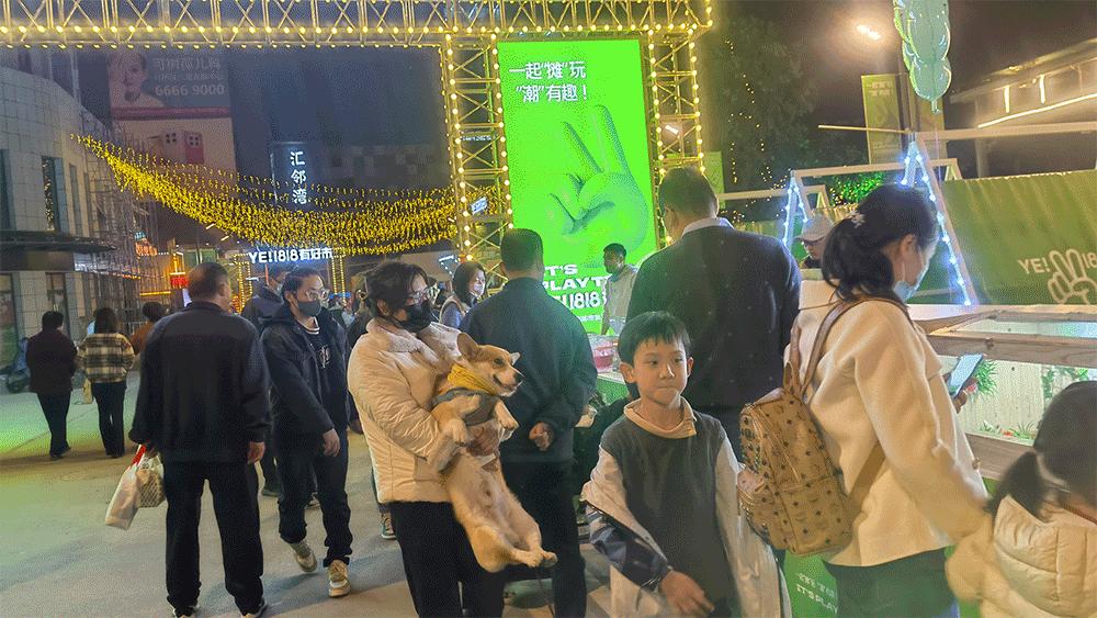 徐州宠物市集太好逛了！别走开，“立冬暖食市集”周末喷香开市