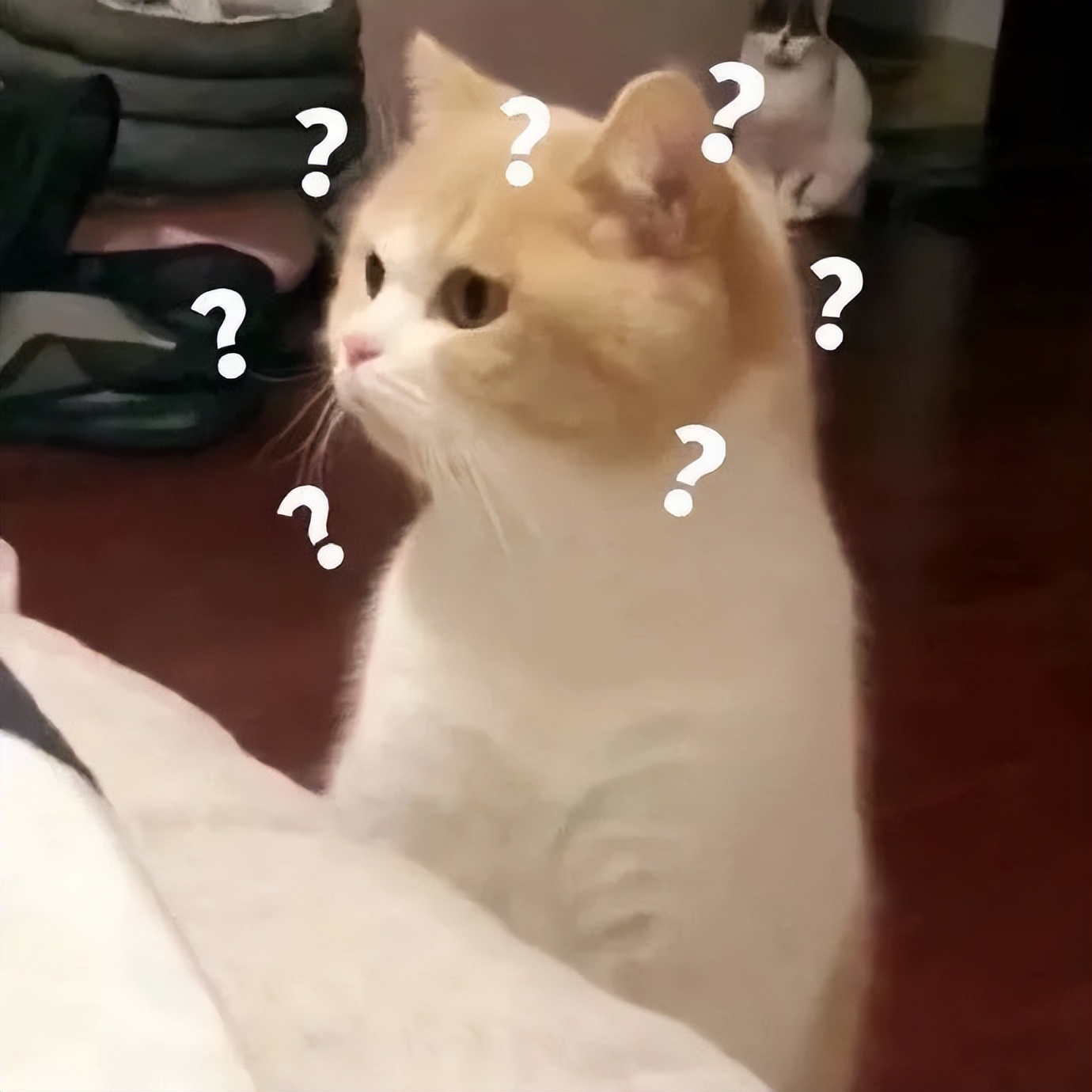 小棕瓶为什么那么便宜,小棕瓶到底有多厉害