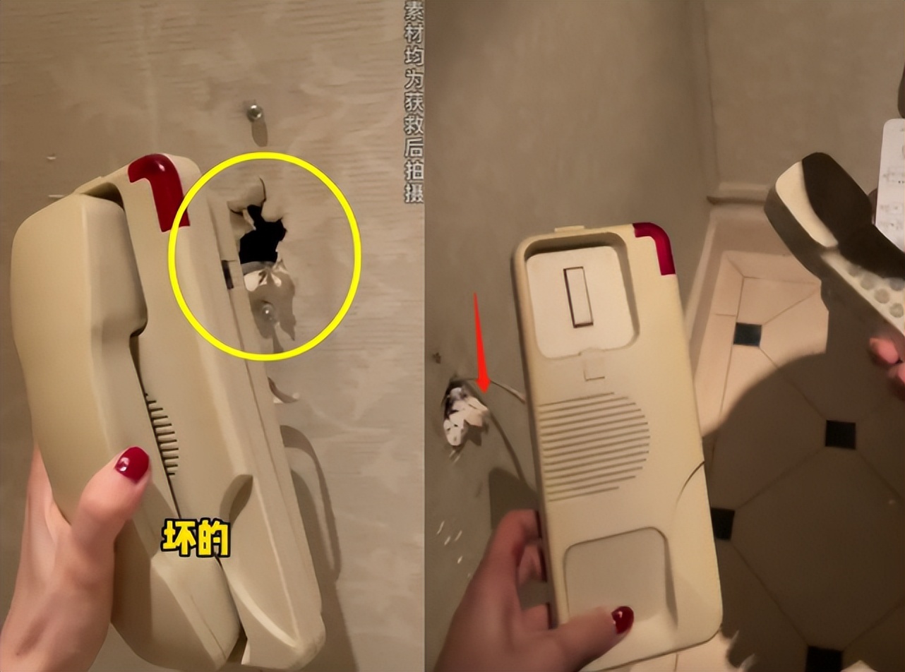 成龙女徒弟被困卫生间,成龙的女徒弟完整视频