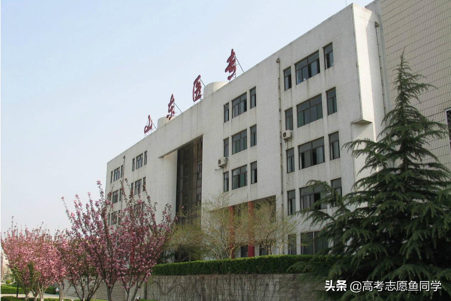 全国比较好的医学专科院校有哪些,十所最好医学专科学校