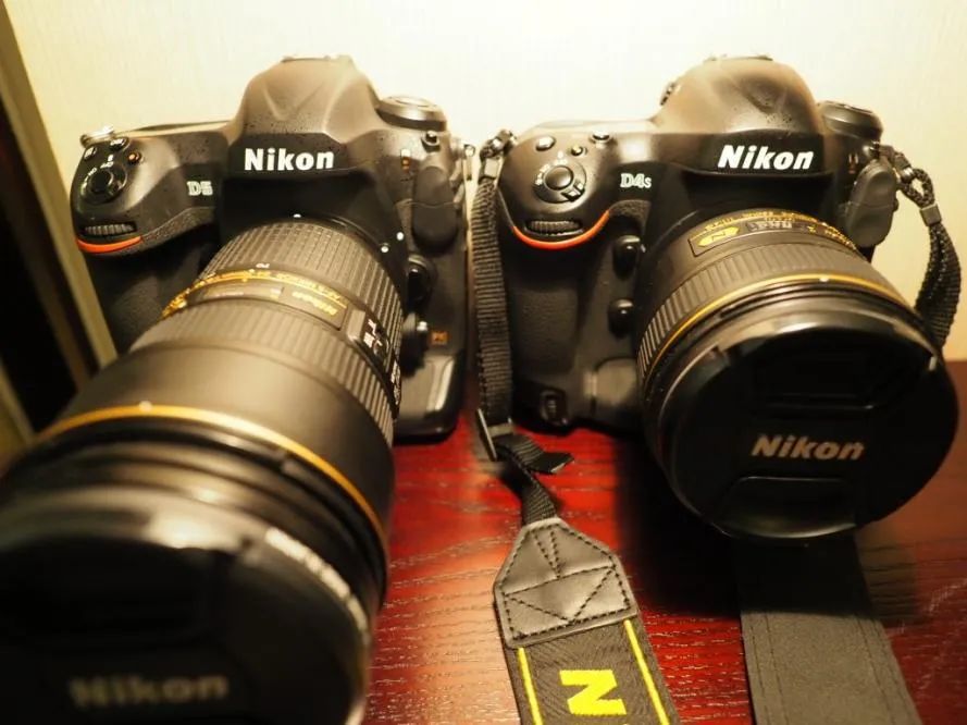 数码单反编年史黄金时代尼康,尼康数码单反最新一代是