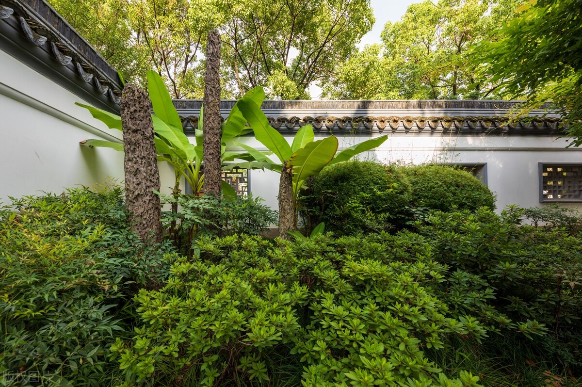 上海最新免费游玩景点推荐,上海旅游必去的五个免费景点