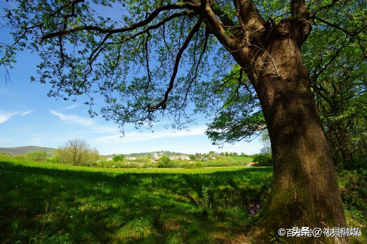 余秋雨唯美诗句,余秋雨的唯美散文