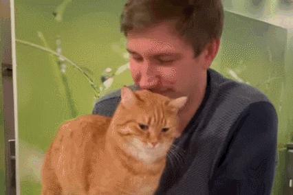 如何给猫猫做品种认证,如何通过科学实验提升猫的智商