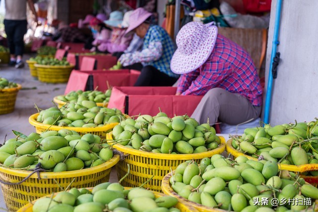 如何利用三农政策创业,三农政策对农村创业的影响