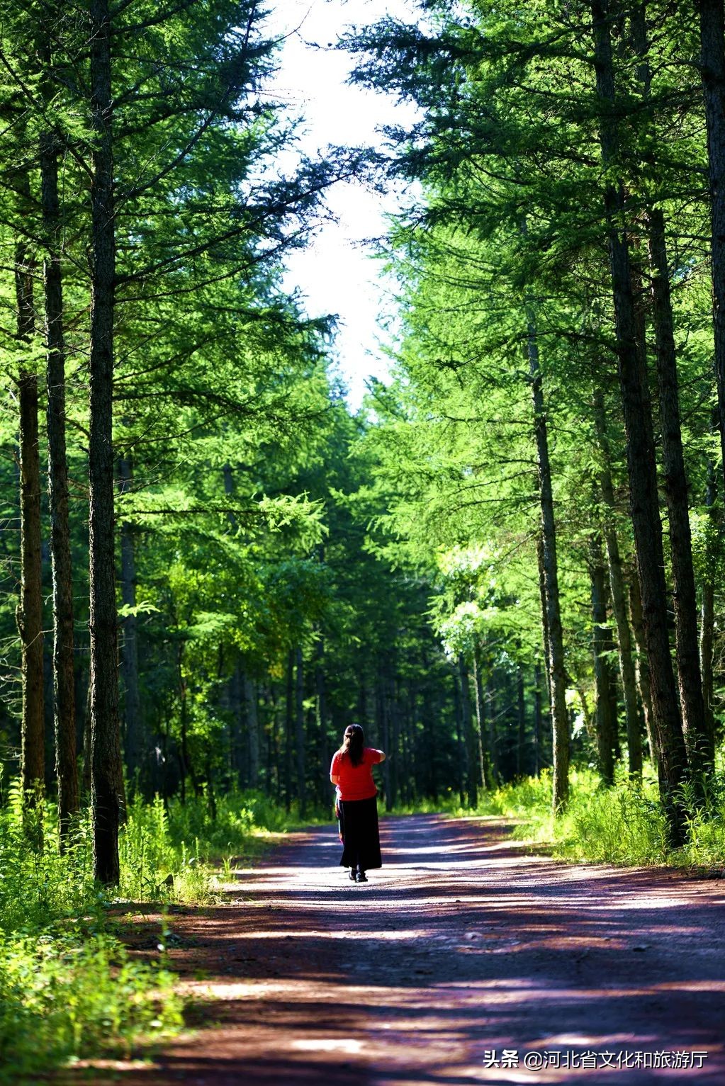 丰宁坝上草原京北第一天路视频,京北第一天路最好看的路