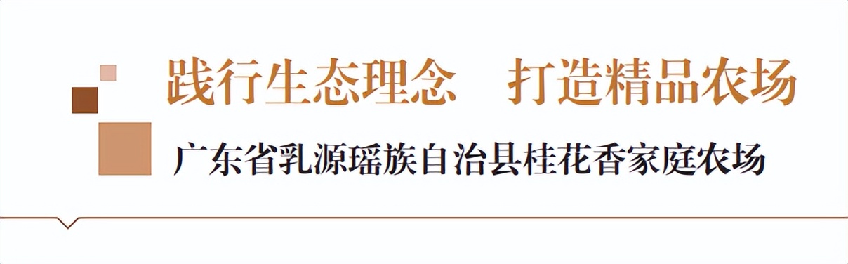 有机生态农场建设,农村绿色生态农场