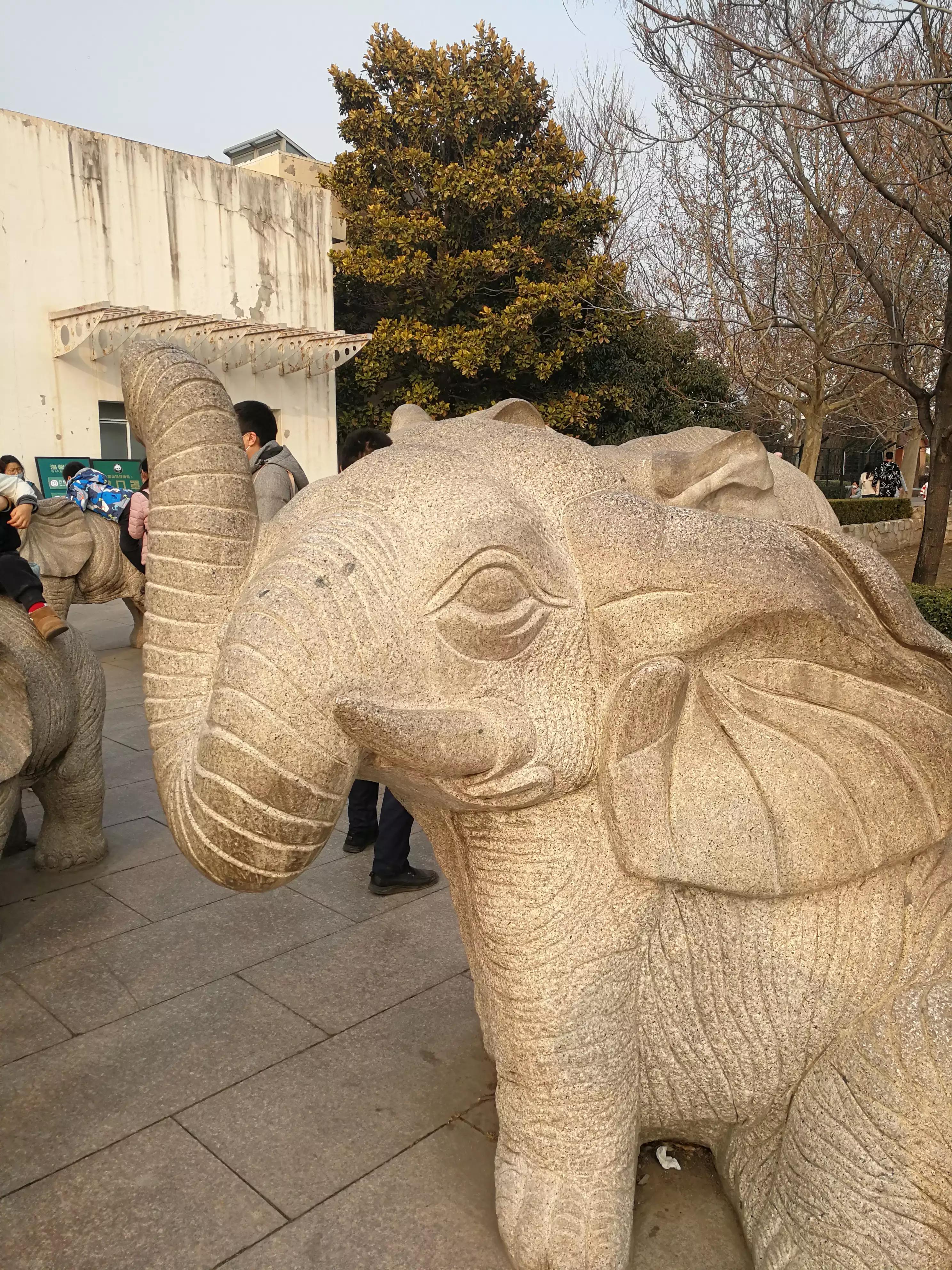 七月份的北京动物园人多吗,北京野生动物园二月动物多吗