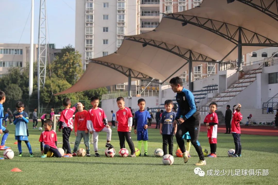 教练职业技能,教练必须有教练证吗