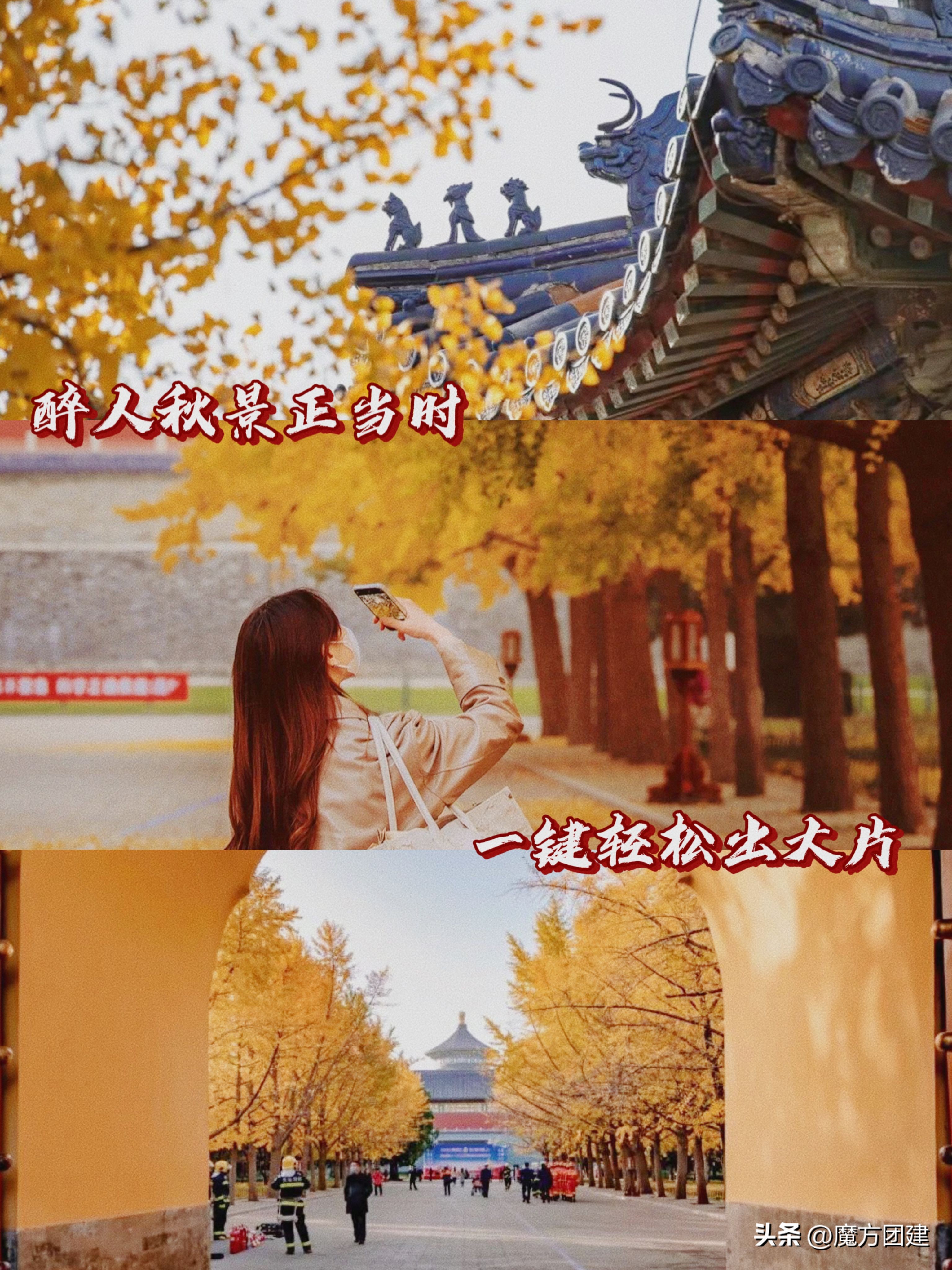 天坛实景剧本杀来啦｜北京团建必打卡