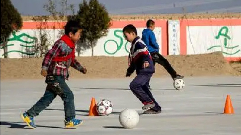 从泥土开始进化,从土壤到天空的蜕变