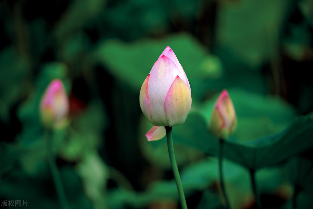 让人穷得很稳定的习惯,让一个人穷得很稳定的原因