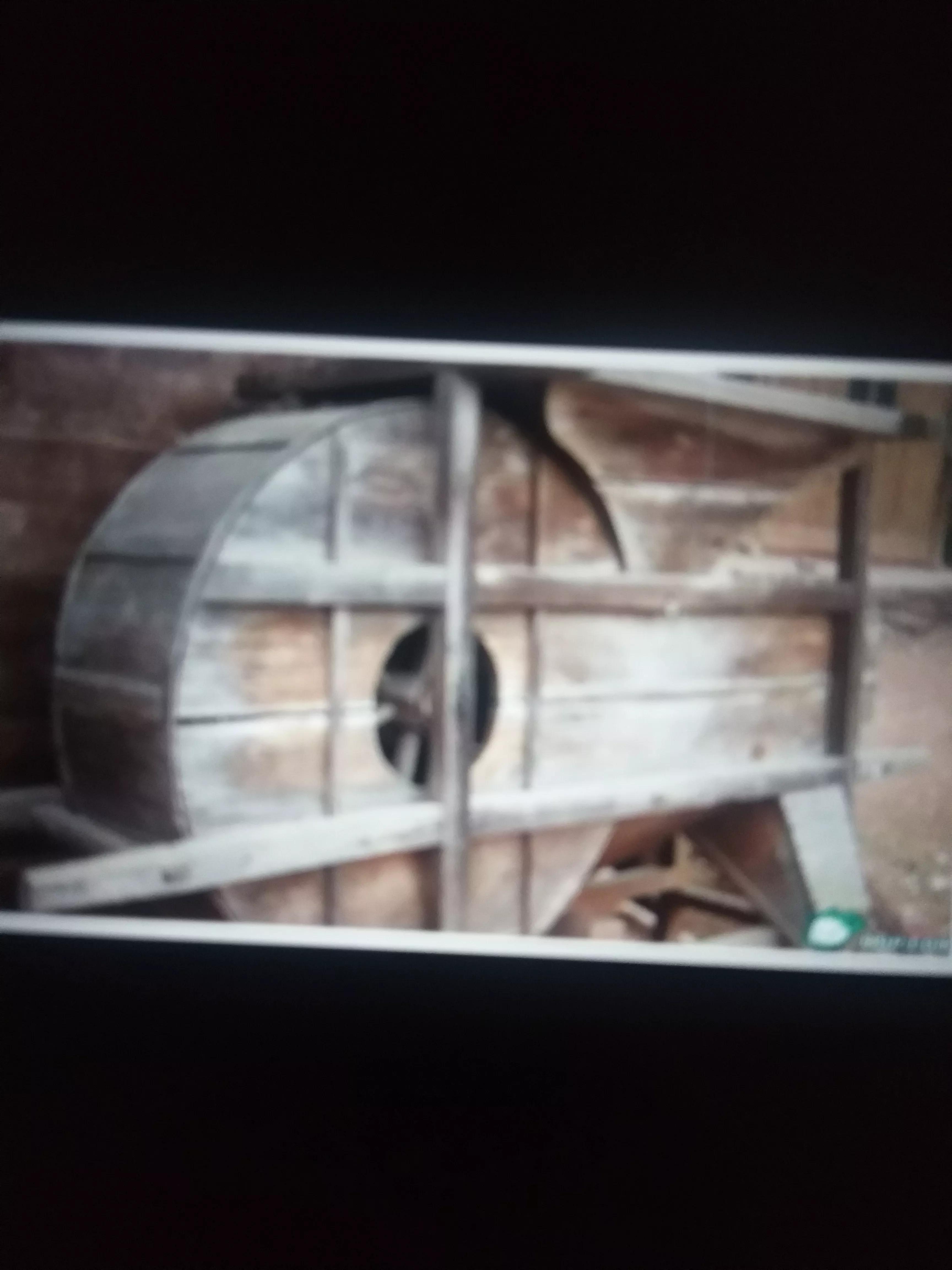 广西人的童年野果,广西人的童年有多快乐