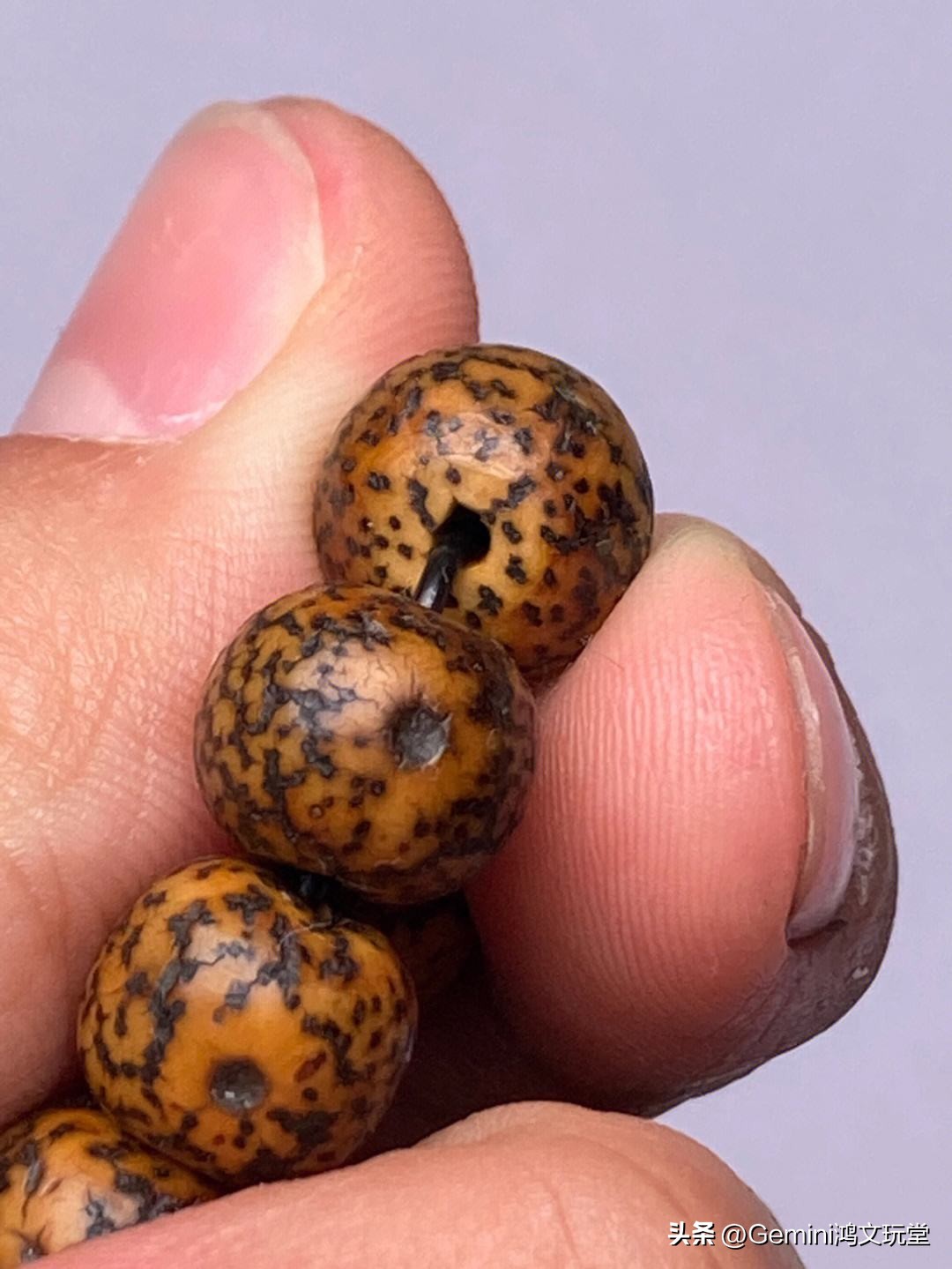 自然氧化的星月菩提还能盘吗,星月菩提氧化了怎么开始玩