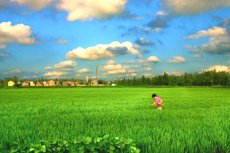 以振兴之笔擘画乡村发展画卷,以山水为笔绘好乡村振兴图