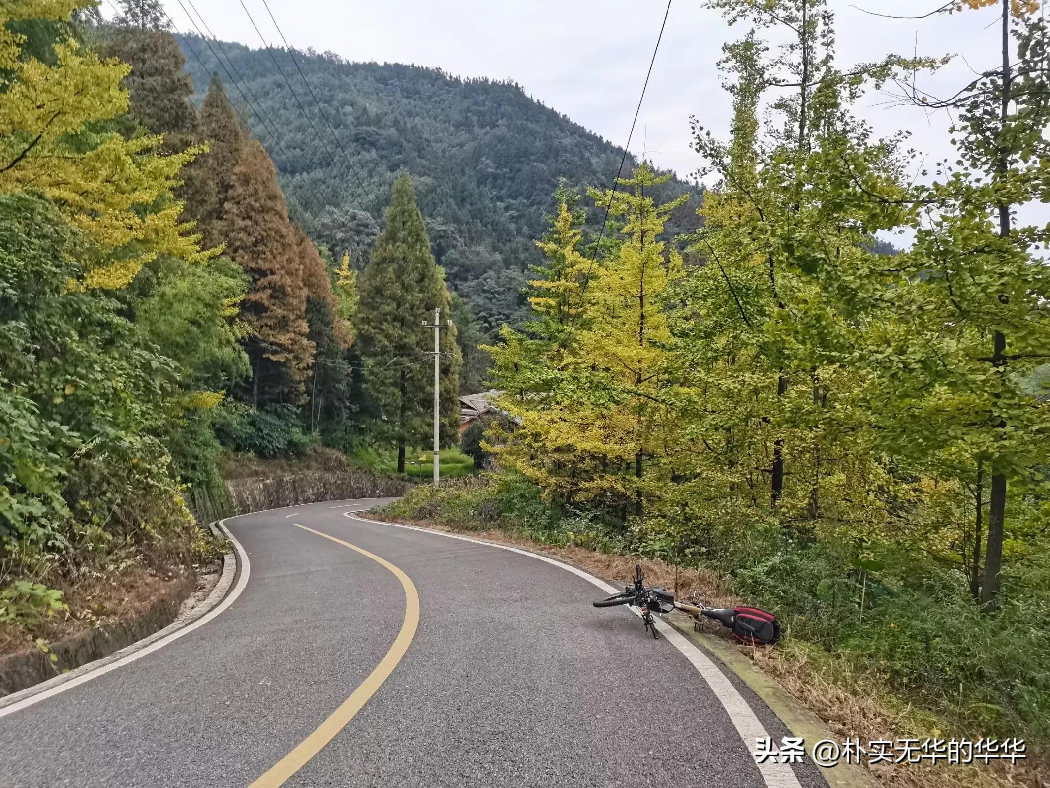 赵公山康养绿道导览图,赵公山骑行森林绿道环线南上北下