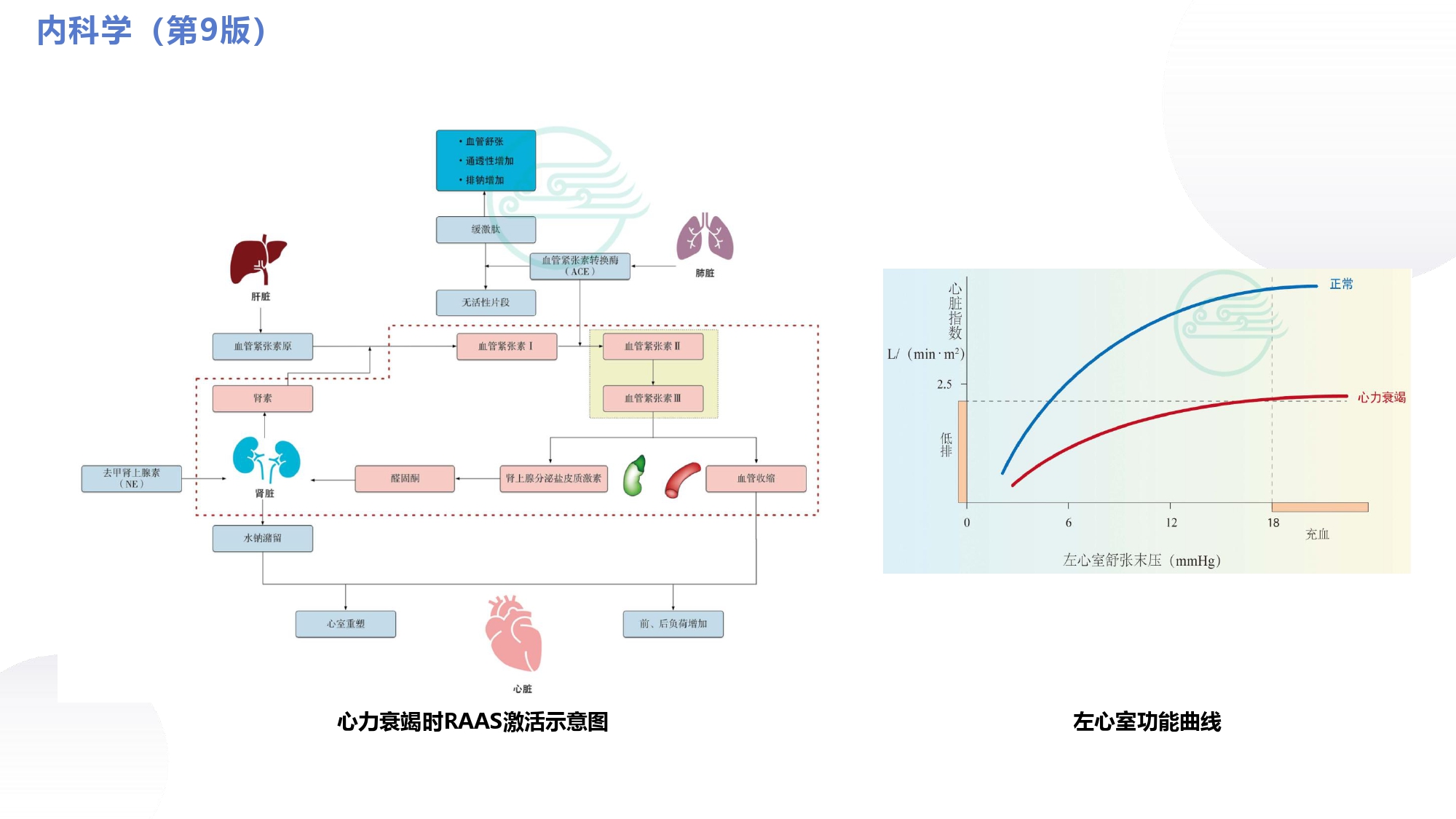 循环系统心脏讲解视频,循环系统心律失常教学视频