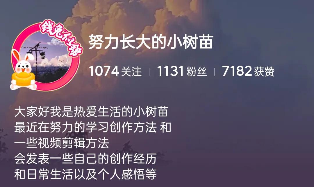 新手今日头条写文章,新手在今日头条发什么作品